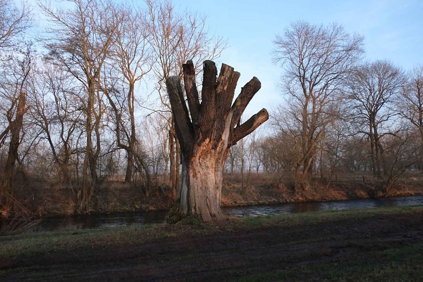Peter unterwegs am Kiesschacht