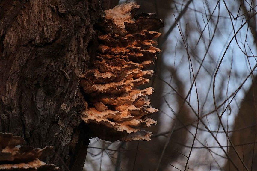 Peter unterwegs am Kiesschacht