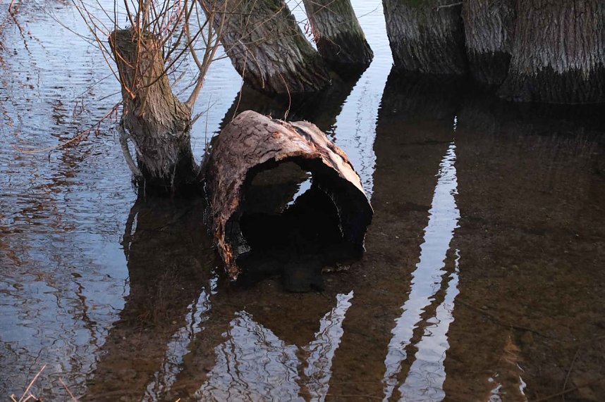 Peter unterwegs am Kiesschacht