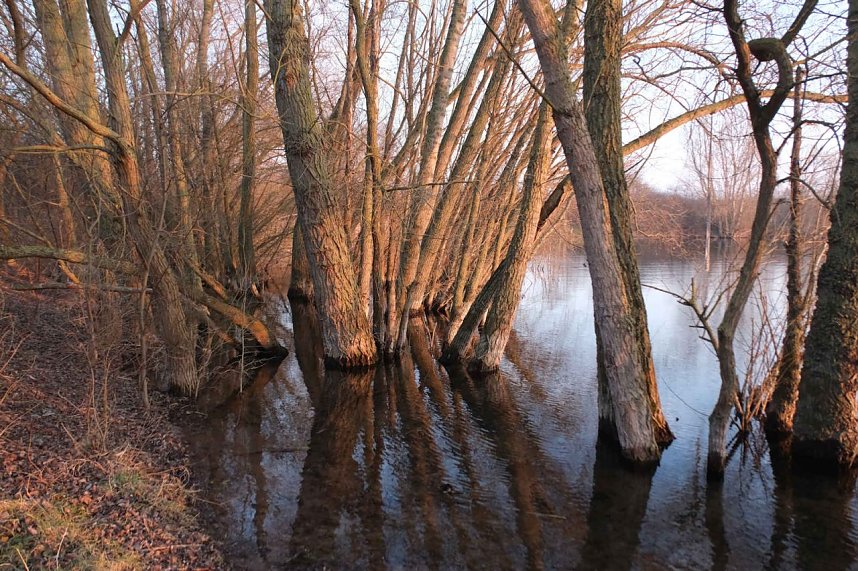 Peter unterwegs am Kiesschacht