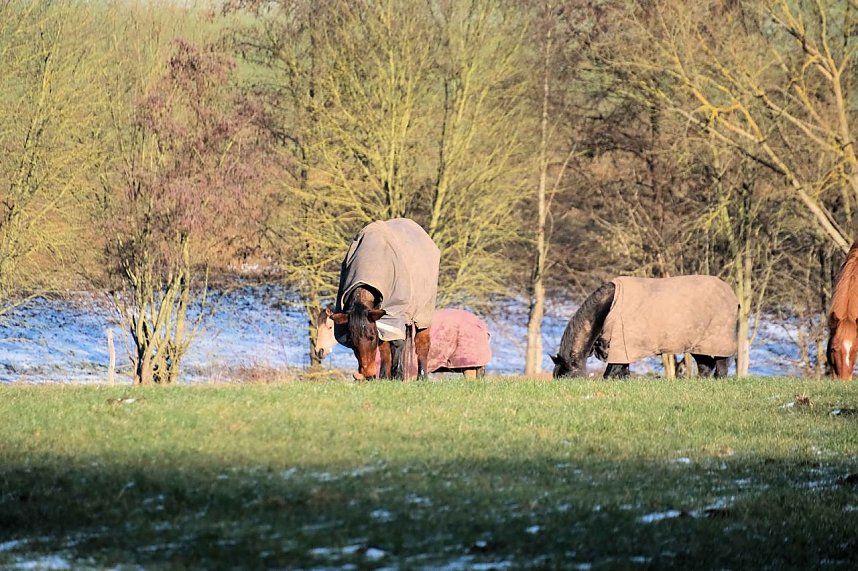 Unterwegs in der kalten Windl&uuml;cke