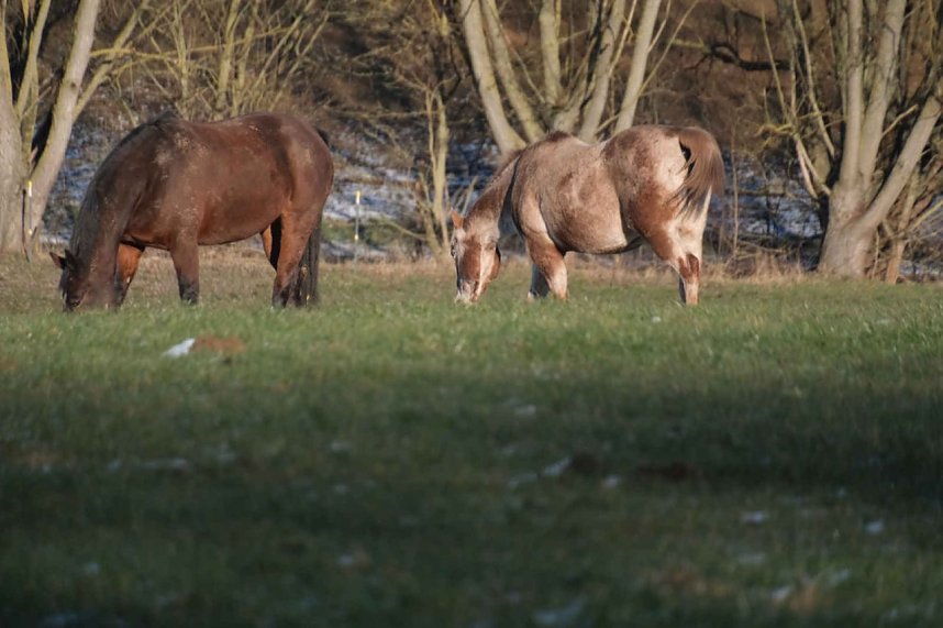 Unterwegs in der kalten Windl&uuml;cke