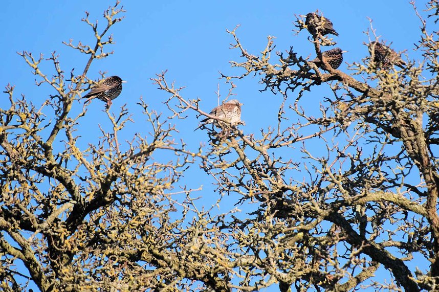 Unterwegs in der kalten Windl&uuml;cke