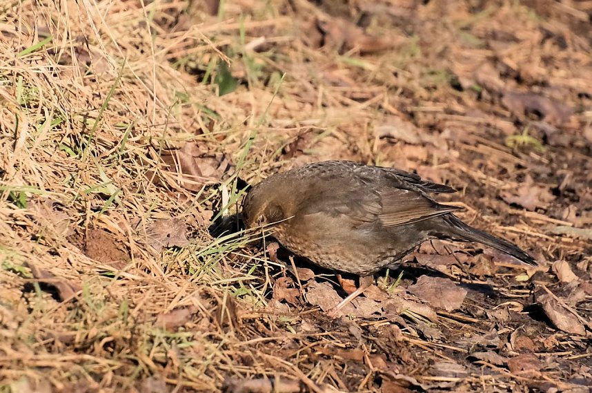 Unterwegs in der kalten Windl&uuml;cke