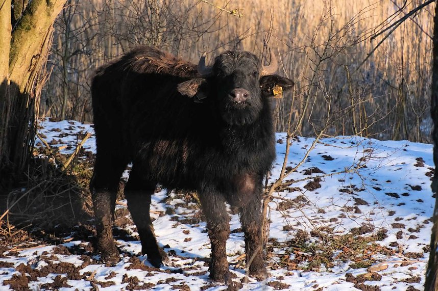 Unterwegs in der kalten Windl&uuml;cke
