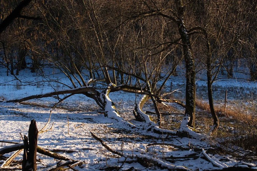 Unterwegs in der kalten Windl&uuml;cke