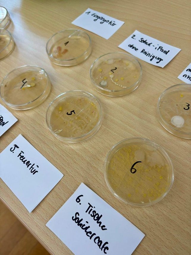 Junge Forscherinnen und Forscher pr&auml;sentieren ihre spannenden Projekte beim Regionalwettbewerb Jugend forscht Nordth&uuml;ringen an der Hochschule Nordhausen.