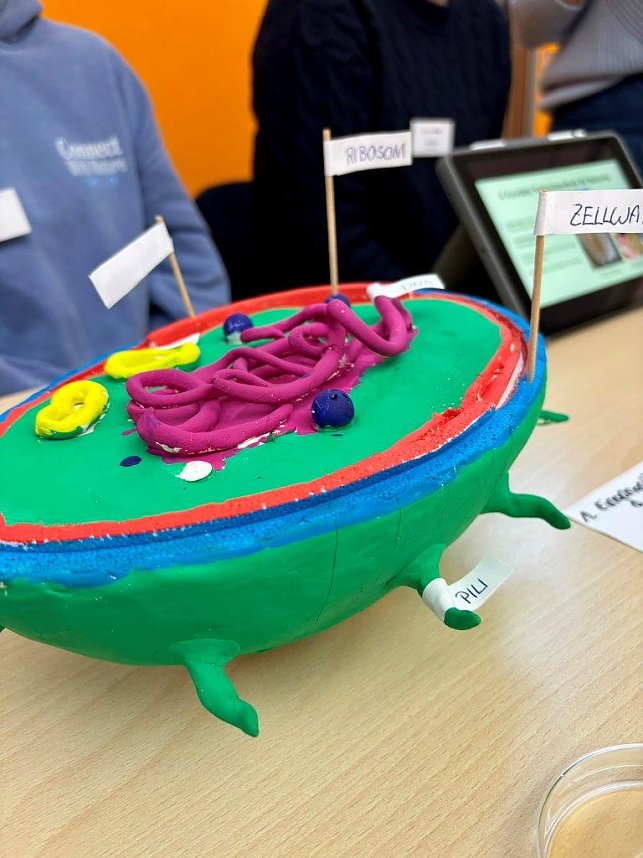 Junge Forscherinnen und Forscher pr&auml;sentieren ihre spannenden Projekte beim Regionalwettbewerb Jugend forscht Nordth&uuml;ringen an der Hochschule Nordhausen.