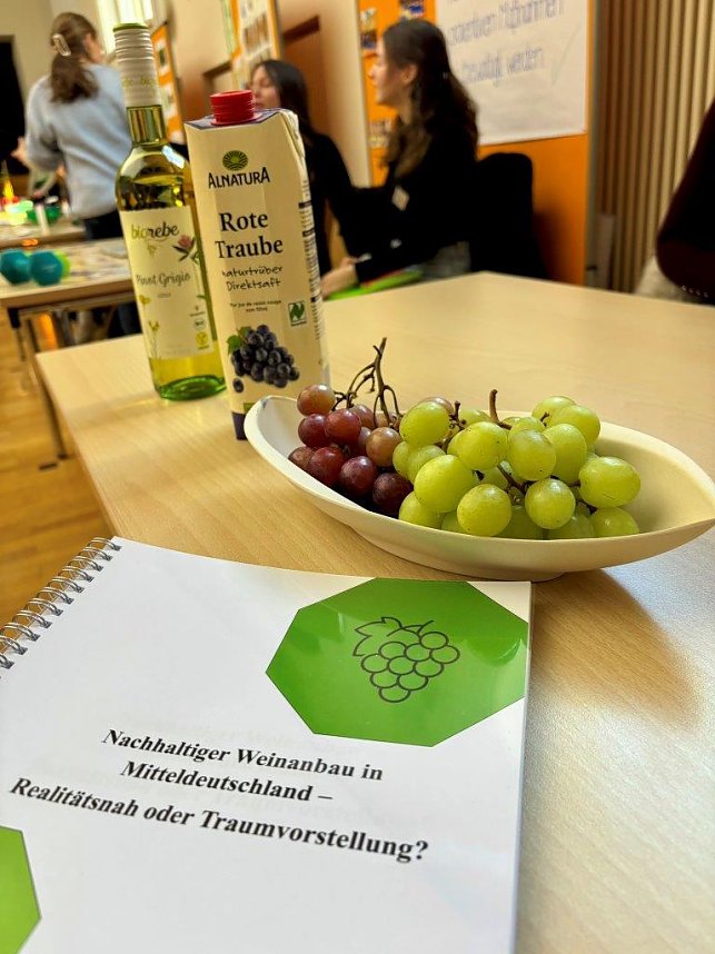 Junge Forscherinnen und Forscher pr&auml;sentieren ihre spannenden Projekte beim Regionalwettbewerb Jugend forscht Nordth&uuml;ringen an der Hochschule Nordhausen.