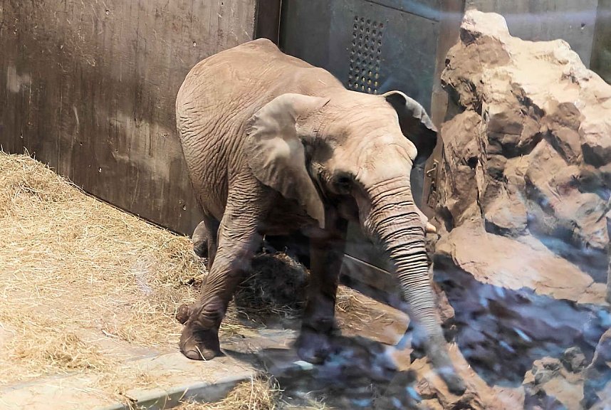 Magische Lichterwelten in Halle
