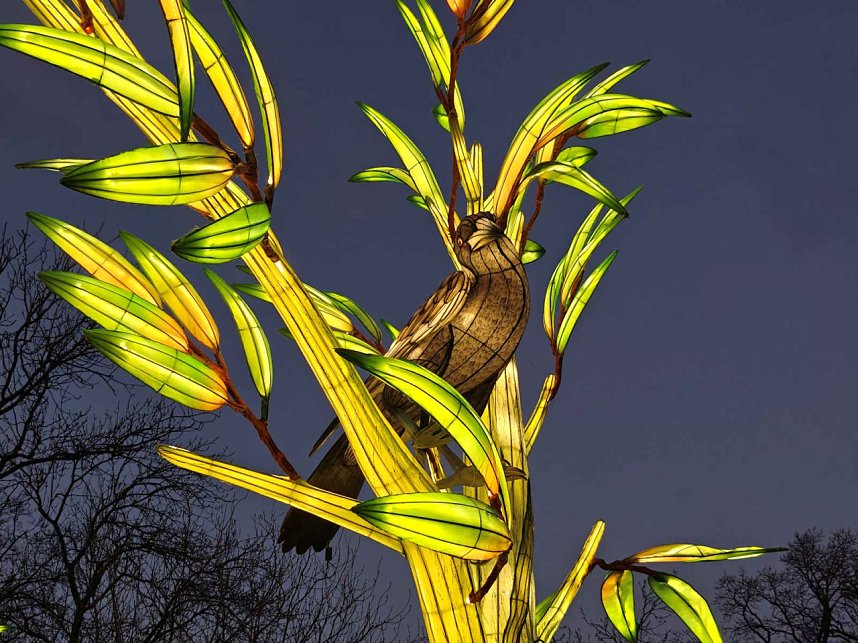 Magische Lichterwelten in Halle