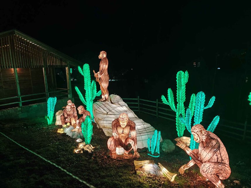 Magische Lichterwelten in Halle