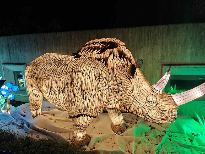 Magische Lichterwelten in Halle