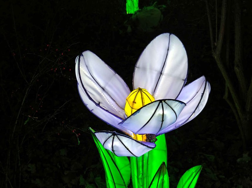 Magische Lichterwelten in Halle