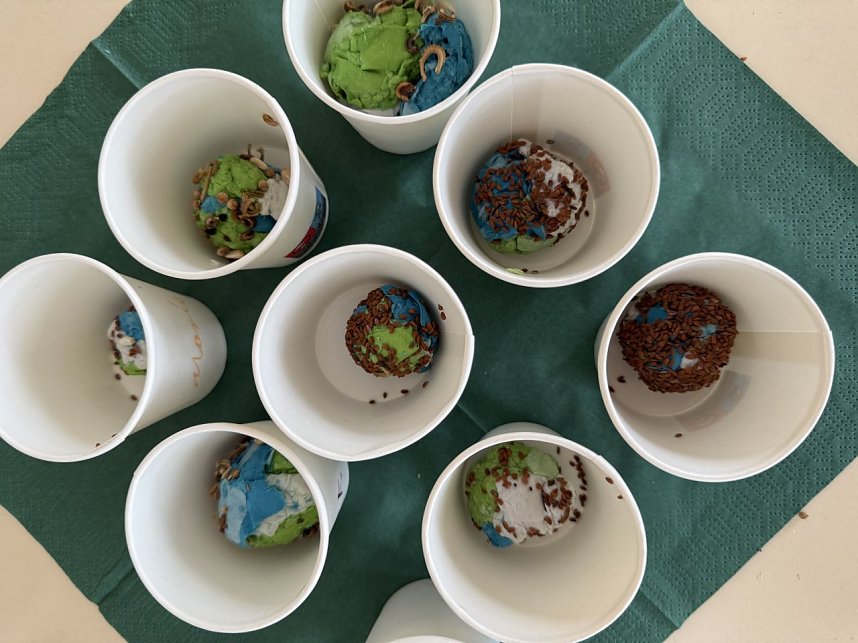 Schnuppertag in der Regelschule Niedersachswerfen