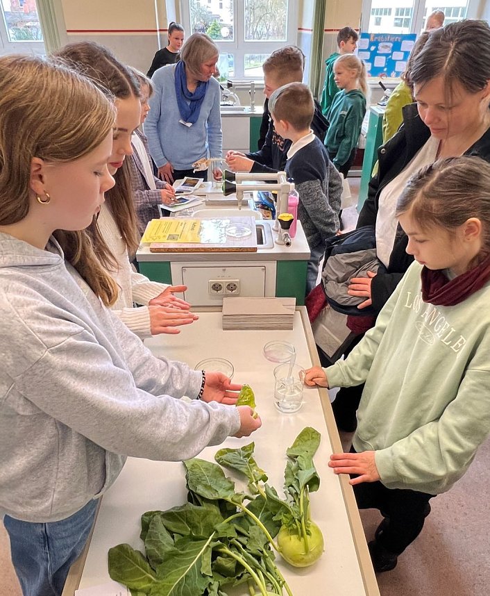 Tag der offenen T&uuml;r am Herder-Gymnasium