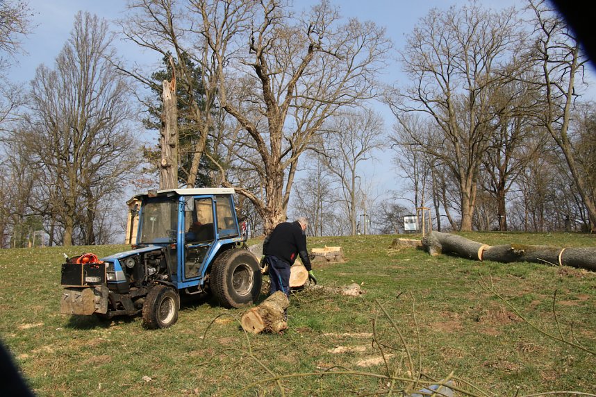 Fr&uuml;hjahrsputz im Park Hohenrode