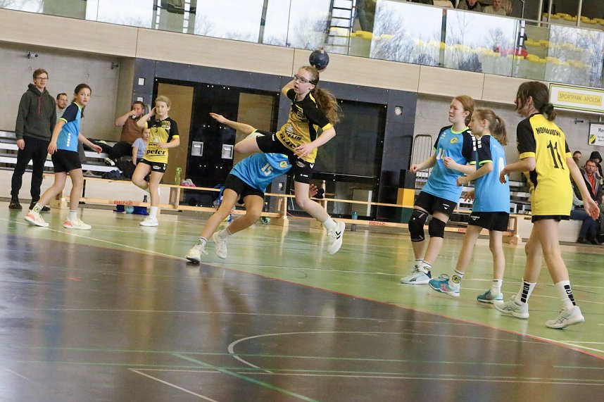 Nordh&auml;user Handballwochenende in Bildern