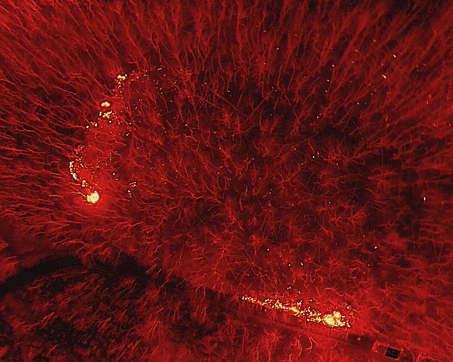 Feuerwehreinsatz unter erschwerten Bedingungen beim Kampfmittelr&auml;umdienst