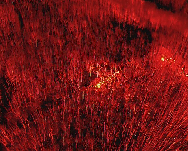 Feuerwehreinsatz unter erschwerten Bedingungen beim Kampfmittelr&auml;umdienst