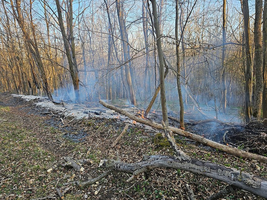 Feuerwehreinsatz unter erschwerten Bedingungen beim Kampfmittelr&auml;umdienst