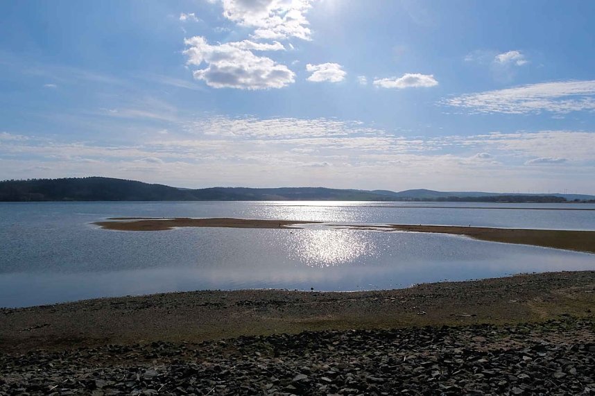 Storch und Co. am Stausee Kelbra