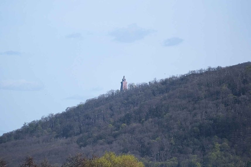 Storch und Co. am Stausee Kelbra
