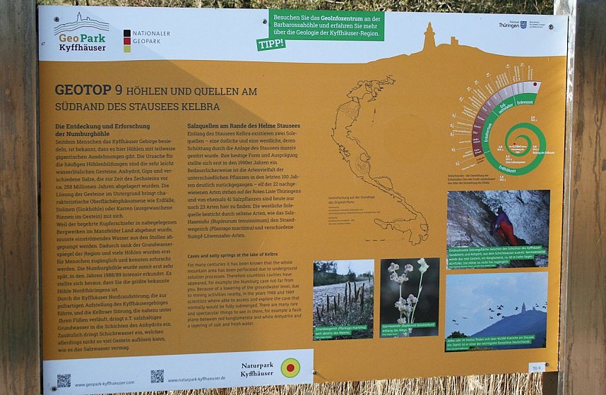 Fledermausschutz an der Numburg