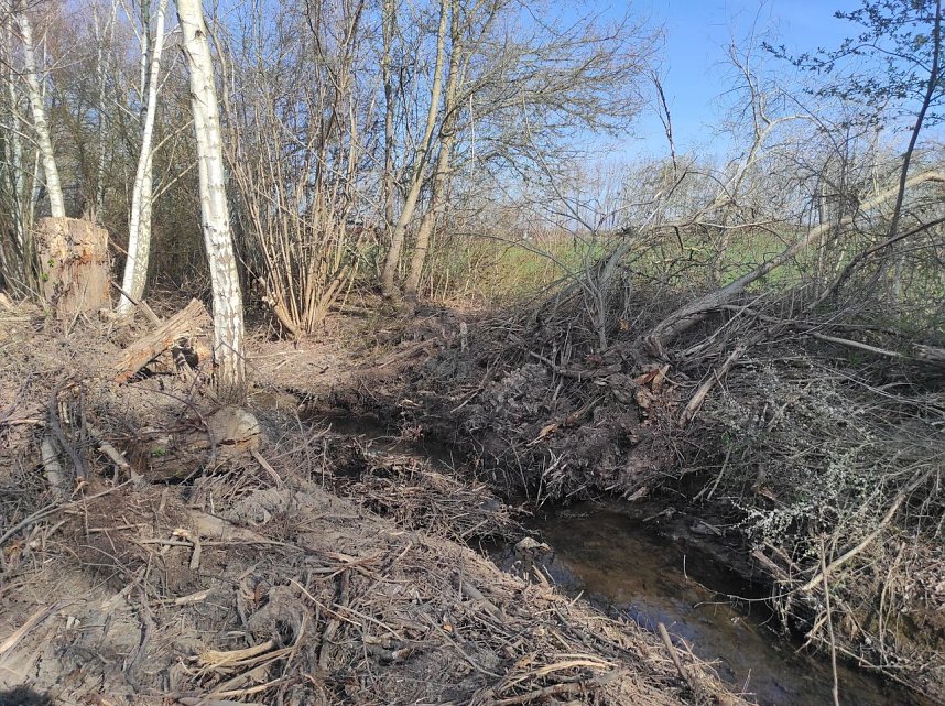 Ufer am R&ouml;ssingsbach