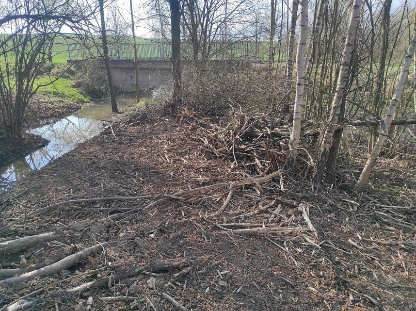 Ufer am R&ouml;ssingsbach