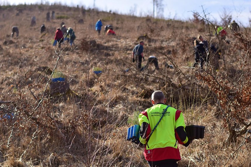 Pflanzaktion an der Eisfelder Talm&uuml;hle