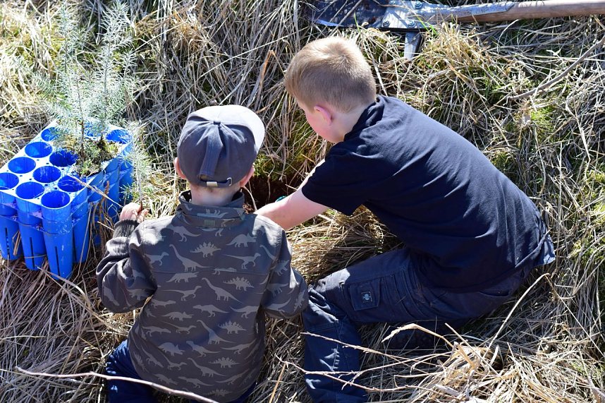 Pflanzaktion an der Eisfelder Talm&uuml;hle