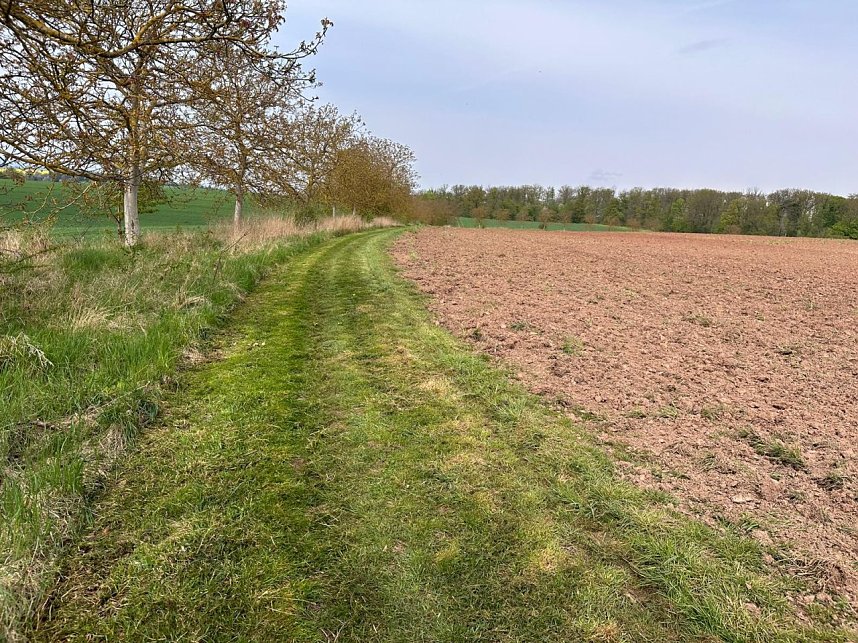 Wanderweg in Ordnung gebracht
