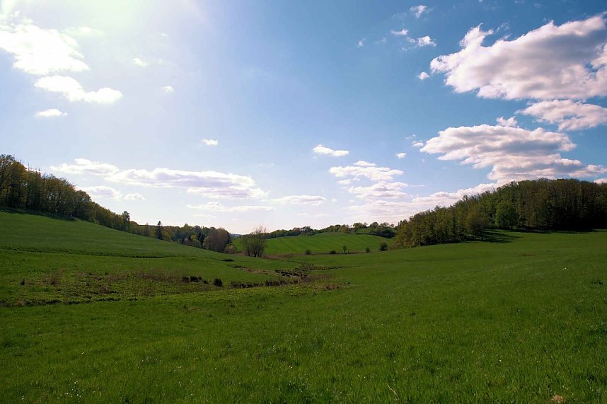 Unterwegs am Rosenteich