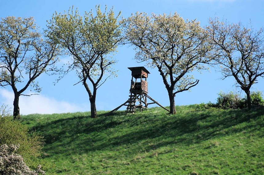 Unterwegs am Rosenteich