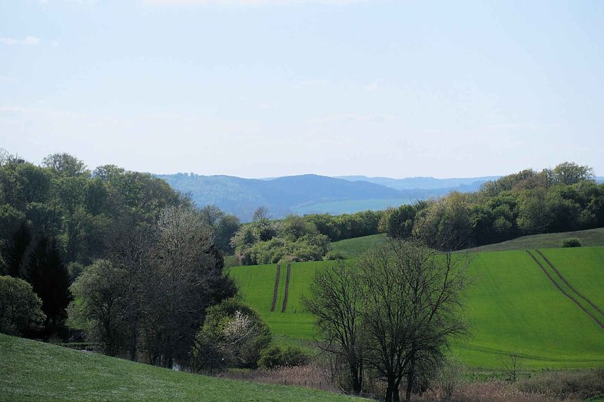Unterwegs am Rosenteich