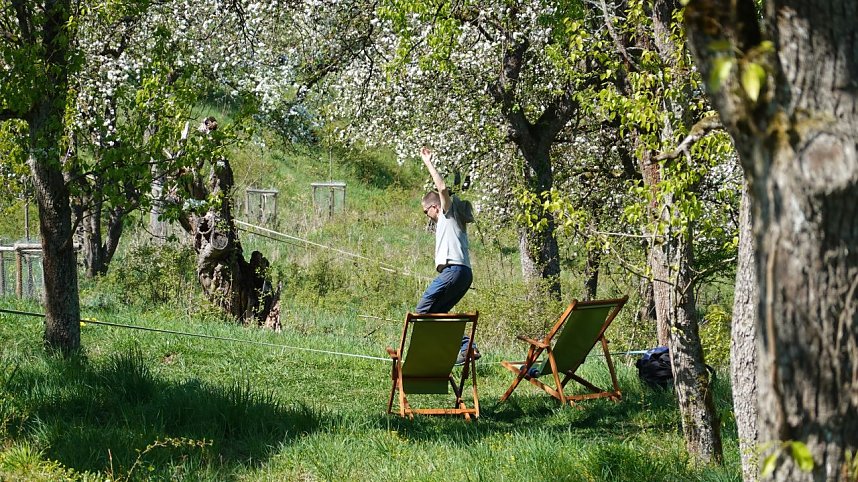 Streuobsttag am Neust&auml;dter Rosenteich