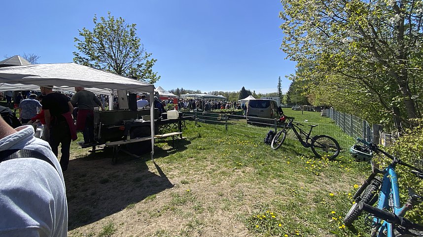 Almauftrieb Sophienhof 2025