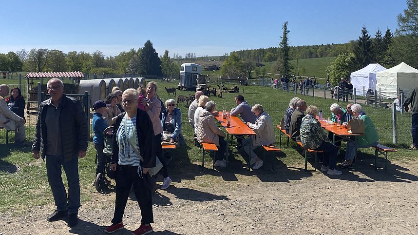 Almauftrieb Sophienhof 2025