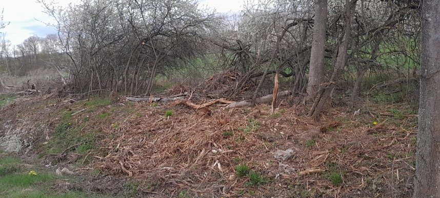 So sieht es entlang der Gumpe aus