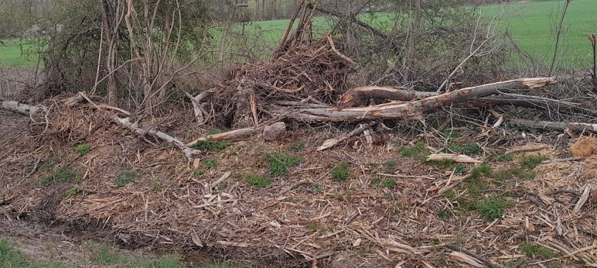 So sieht es entlang der Gumpe aus