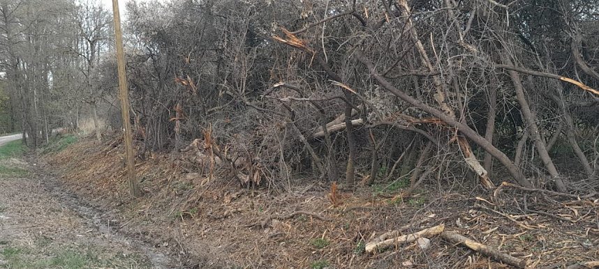 So sieht es entlang der Gumpe aus