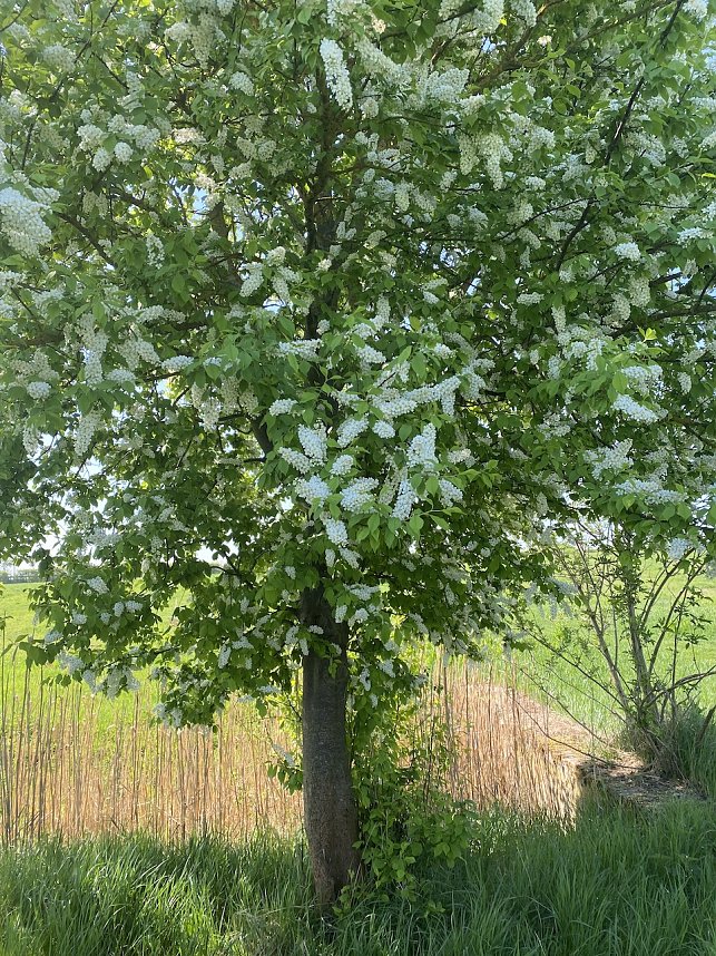 Wandergruppe im April