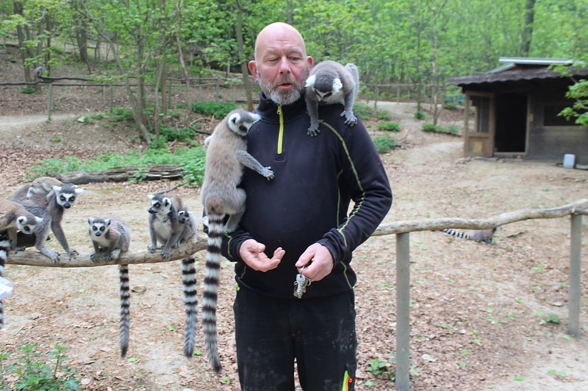 Besuch im Affenpark in Strau&szlig;berg (Th&uuml;ringen)
