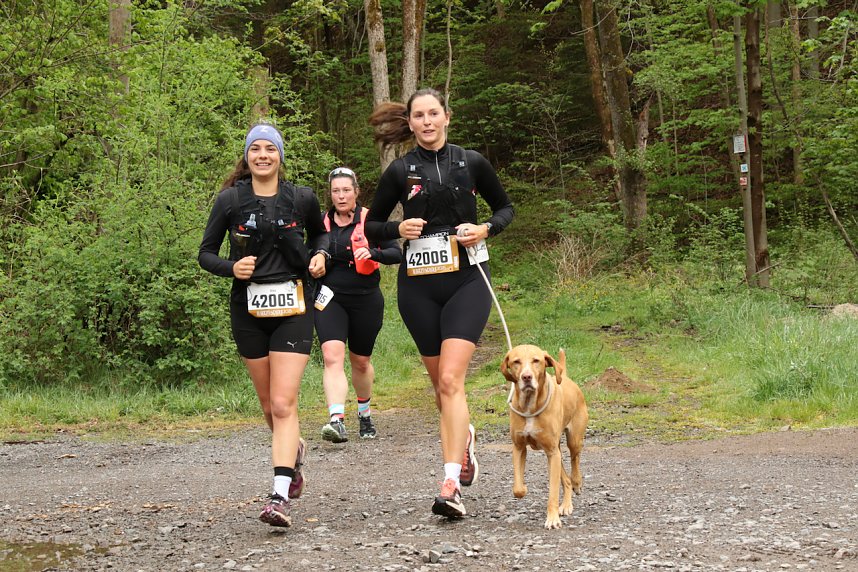 11. Harztorlauf - Am Start und auf der Strecke