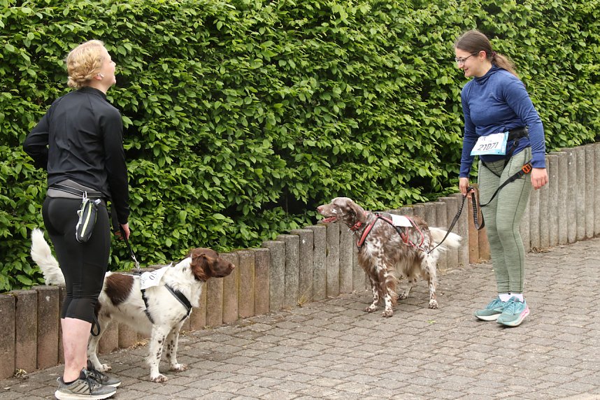 11. Harztorlauf - Am Start und auf der Strecke