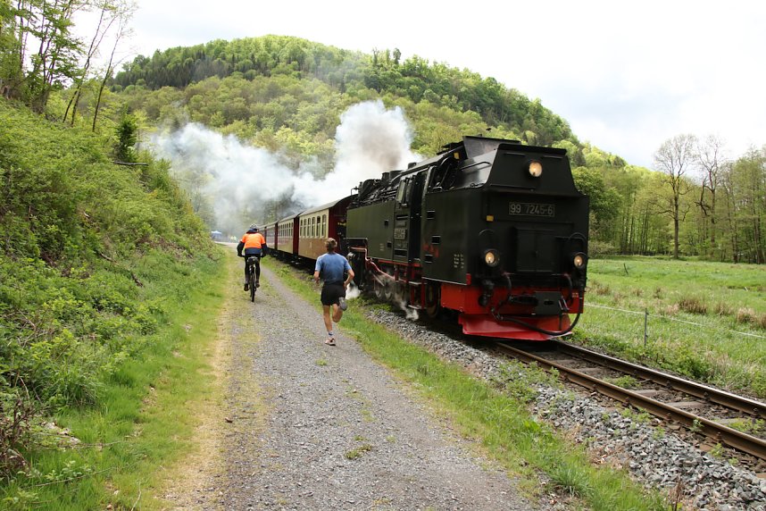 11. Harztorlauf - Am Start und auf der Strecke