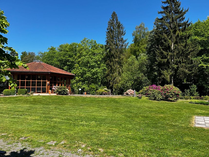 S&uuml;lzhayn im Mai