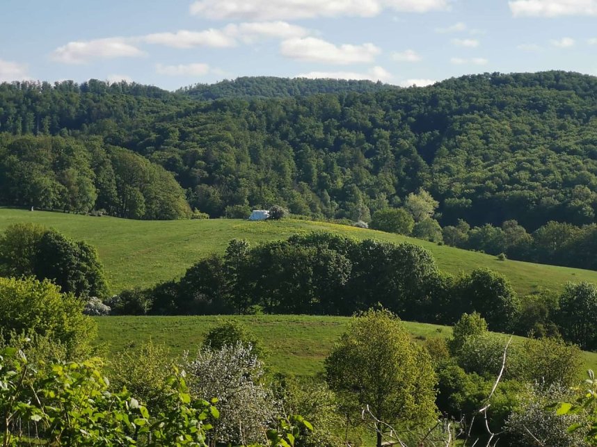 S&uuml;lzhayn im Mai