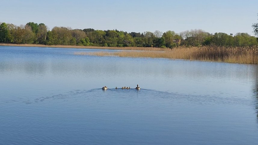 M&ouml;ssensee im Mecklenburg-Vorpommern